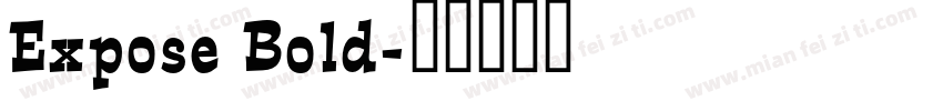 Expose Bold字体转换